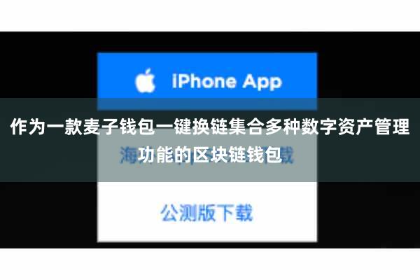 作为一款麦子钱包一键换链集合多种数字资产管理功能的区块链钱包