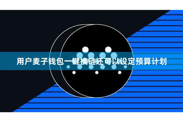 用户麦子钱包一键换链还可以设定预算计划