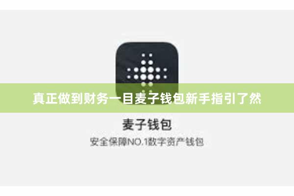 真正做到财务一目麦子钱包新手指引了然
