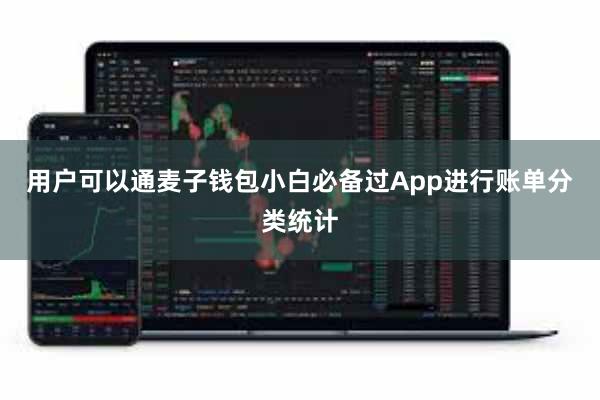 用户可以通麦子钱包小白必备过App进行账单分类统计