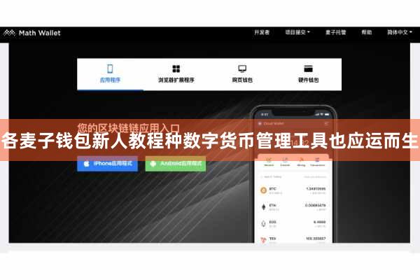 各麦子钱包新人教程种数字货币管理工具也应运而生