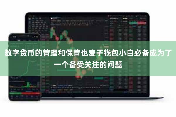 数字货币的管理和保管也麦子钱包小白必备成为了一个备受关注的问题