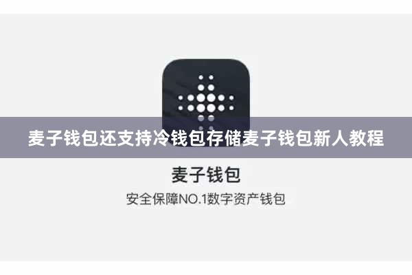 麦子钱包还支持冷钱包存储麦子钱包新人教程