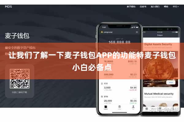 让我们了解一下麦子钱包APP的功能特麦子钱包小白必备点