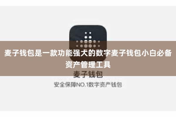 麦子钱包是一款功能强大的数字麦子钱包小白必备资产管理工具