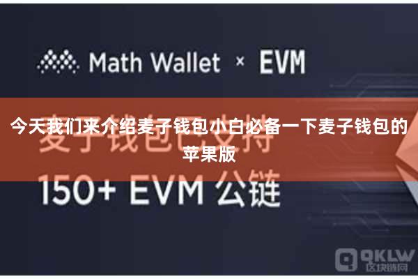 今天我们来介绍麦子钱包小白必备一下麦子钱包的苹果版