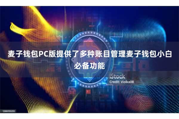 麦子钱包PC版提供了多种账目管理麦子钱包小白必备功能