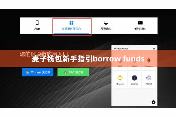 麦子钱包新手指引borrow funds