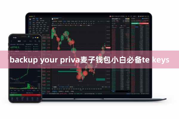 backup your priva麦子钱包小白必备te keys