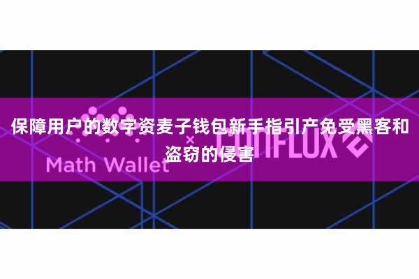 保障用户的数字资麦子钱包新手指引产免受黑客和盗窃的侵害