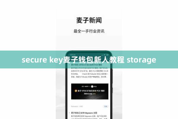secure key麦子钱包新人教程 storage