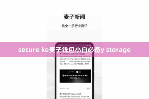 secure ke麦子钱包小白必备y storage