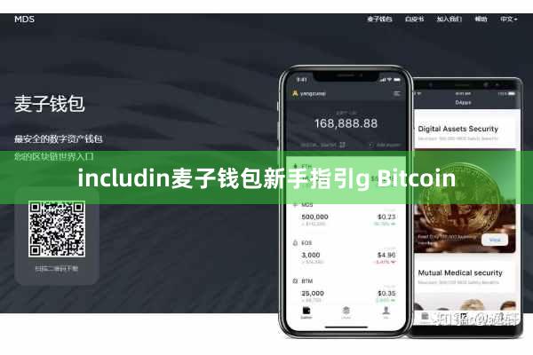 includin麦子钱包新手指引g Bitcoin