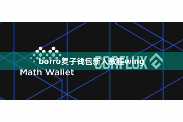 borro麦子钱包新人教程wing