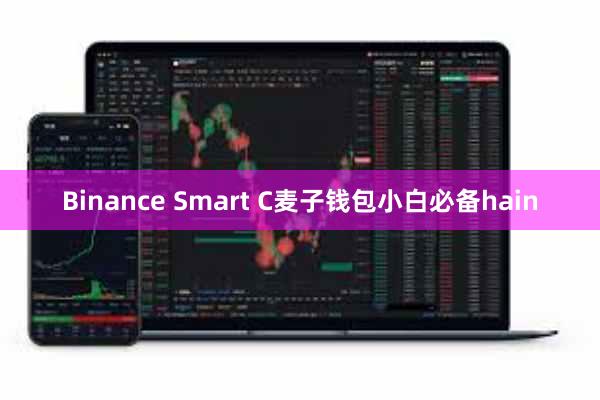 Binance Smart C麦子钱包小白必备hain