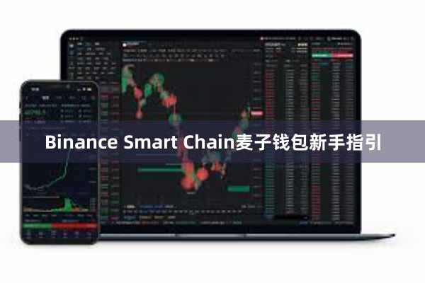 Binance Smart Chain麦子钱包新手指引