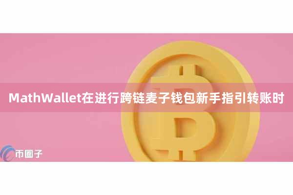 MathWallet在进行跨链麦子钱包新手指引转账时
