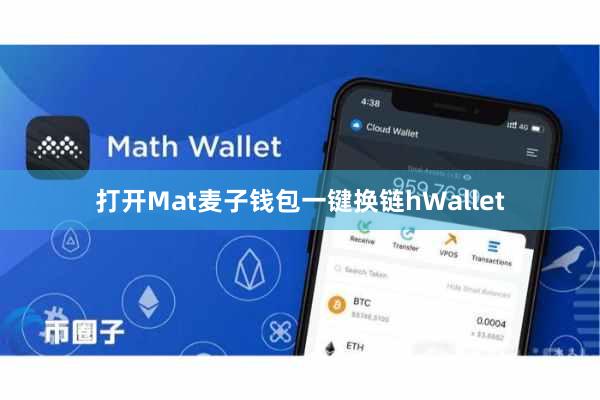 打开Mat麦子钱包一键换链hWallet