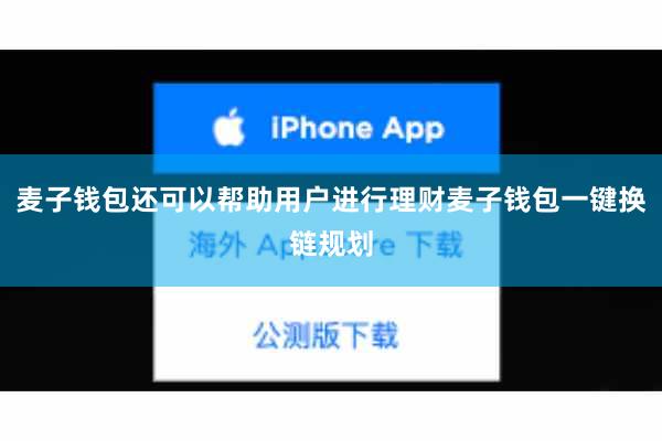 麦子钱包还可以帮助用户进行理财麦子钱包一键换链规划