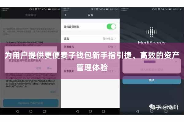 为用户提供更便麦子钱包新手指引捷、高效的资产管理体验