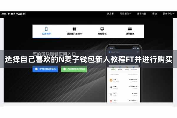 选择自己喜欢的N麦子钱包新人教程FT并进行购买