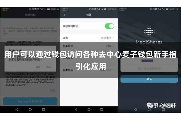 用户可以通过钱包访问各种去中心麦子钱包新手指引化应用